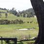 Bega Valley Area