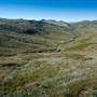 Snowy Mountains region