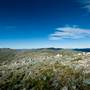 Snowy Mountains region