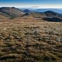 Snowy Mountains region