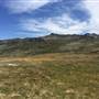 Snowy Mountains region