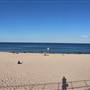 Bondi Beach