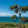 Fingal Head Lighthouse & Coastal Reserve