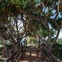 Fingal Head Lighthouse & Coastal Reserve