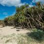 Fingal Head Lighthouse & Coastal Reserve