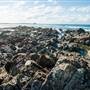 Hastings Point