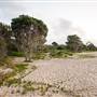 Hickey Island - Yamba