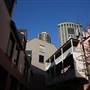 Susannah Place Rooftops