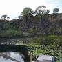 Island Quarry