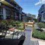 Shepherds Bay - Meadowbank