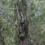 Private Property - Upper Colo