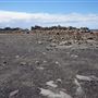 Bombo Headland Quarry