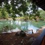 Auburn Botanic Gardens - Japanese Garden