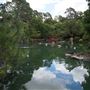 Auburn Botanic Gardens - Japanese Garden