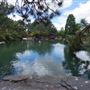 Auburn Botanic Gardens - Japanese Garden