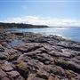Bass Point Reserve
