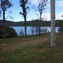 Peat Island