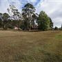 Peat Island