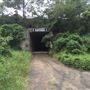 Tunnel on Tweed Valley Way