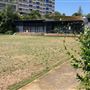 Paddington Apartments & Bowls Club