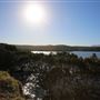 Bermagui