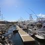 Bermagui