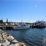 Bermagui