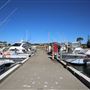 Bermagui