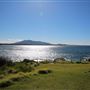 Bermagui