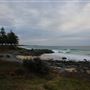 Tuross Head