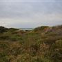 Tuross Head