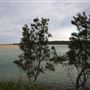 Tuross Head