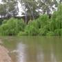 Whylandra Crossing, Dubbo