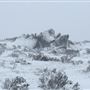 Snowy Mountains - Semi-Dry Steppes
