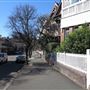 Lower Fort Street Houses - Dawes Point