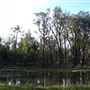 Narrabri