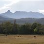 Narrabri