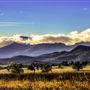 Narrabri