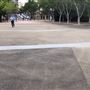 Pyrmont Bay Park