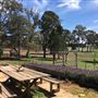 PRIVATE HOUSE - Coolabah Farm House