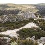The Lost City