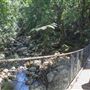 Minnamurra Rainforest Walk - Budderoo National Park