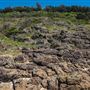 Mystics Beach (Minnamurra Beach) - Killalea State Park