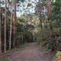 Clarrie Hall Dam