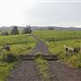 Coolamon Scenic Drive in the Byron Bay Hinterlands