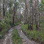 Cudgen Creek