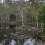 Tyagarah Nature Reserve