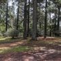 Jenolan State Forest