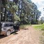 Jenolan State Forest