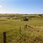 Taralga countryside